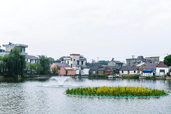 只為一汪清水潤萬家